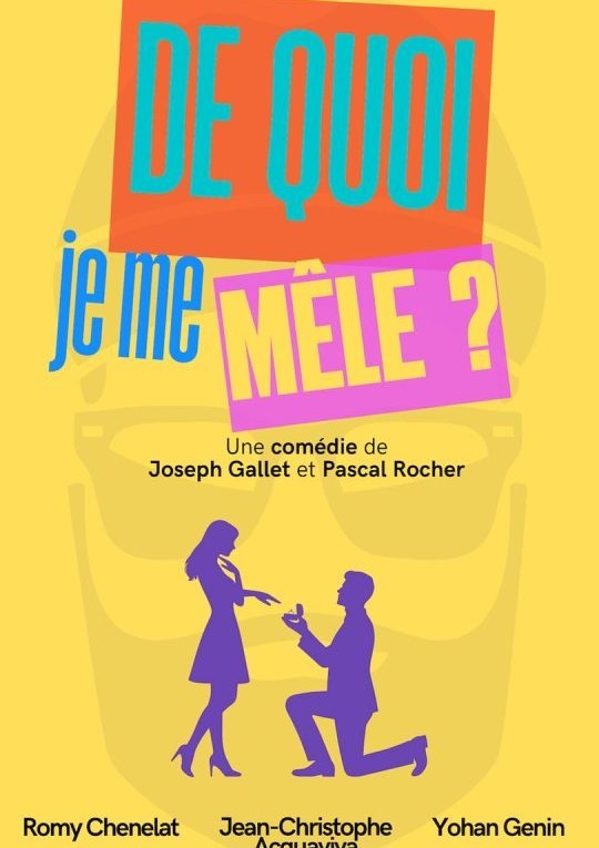 de_quoi_je_me_mele_540x800.jpg
